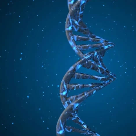 Autism Do's and Dont's